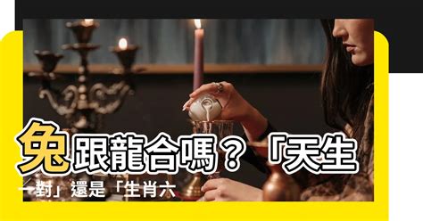 龍跟兔合嗎|生肖兔和生肖龍的結婚，是「天生一對」還是「生肖六衝」？